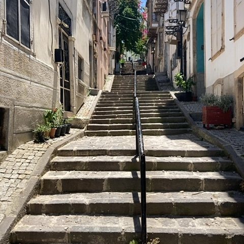 A steep stone staircase with a central handrail leads uphill between closely spaced buildings.