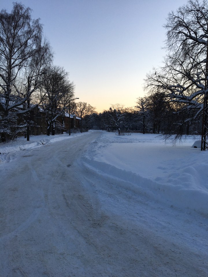 #Tallinn #Estonya